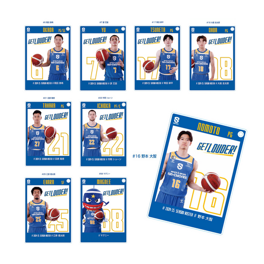 2024-25 Player Acrylic Trading Cards