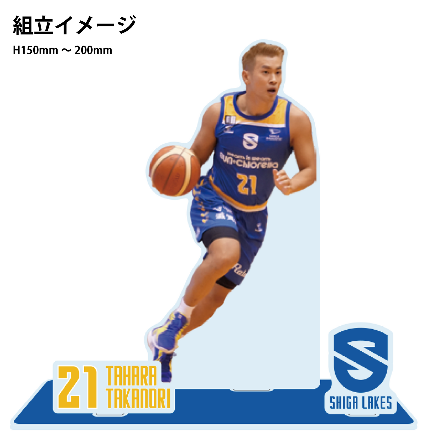 2024-25賽季球員大型壓克力看台
