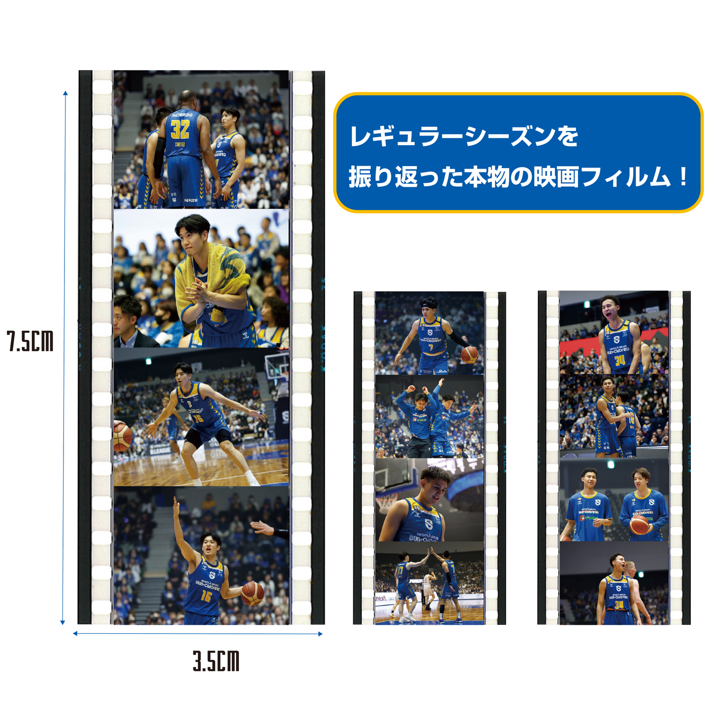 【シークレット】フィルムしおり