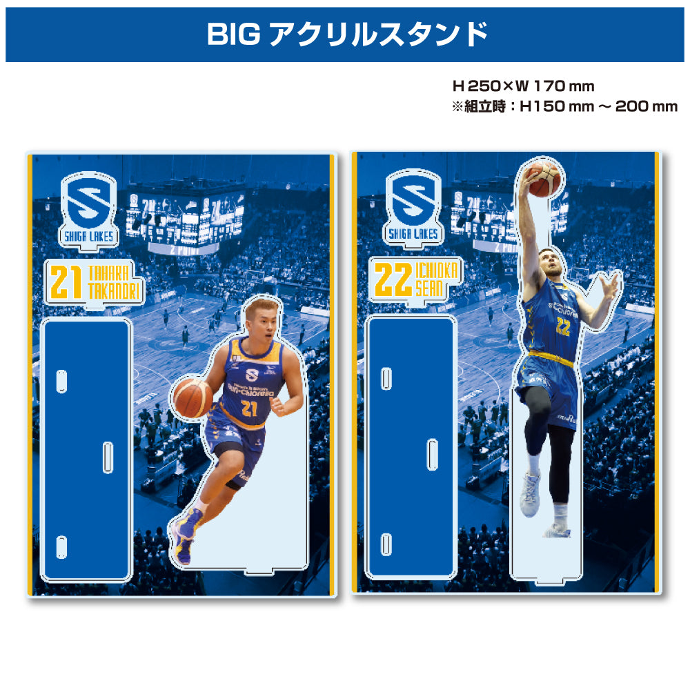 2024-25賽季球員大型壓克力看台