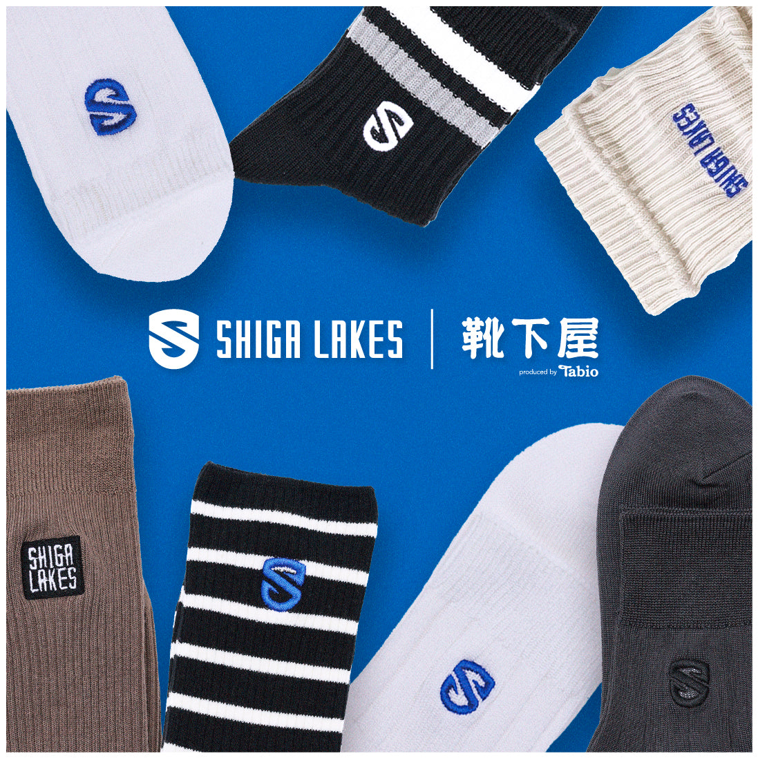 【靴下屋コラボ】【レディース】エンブレム刺繍太リブソックス(22.5~24.5cm)