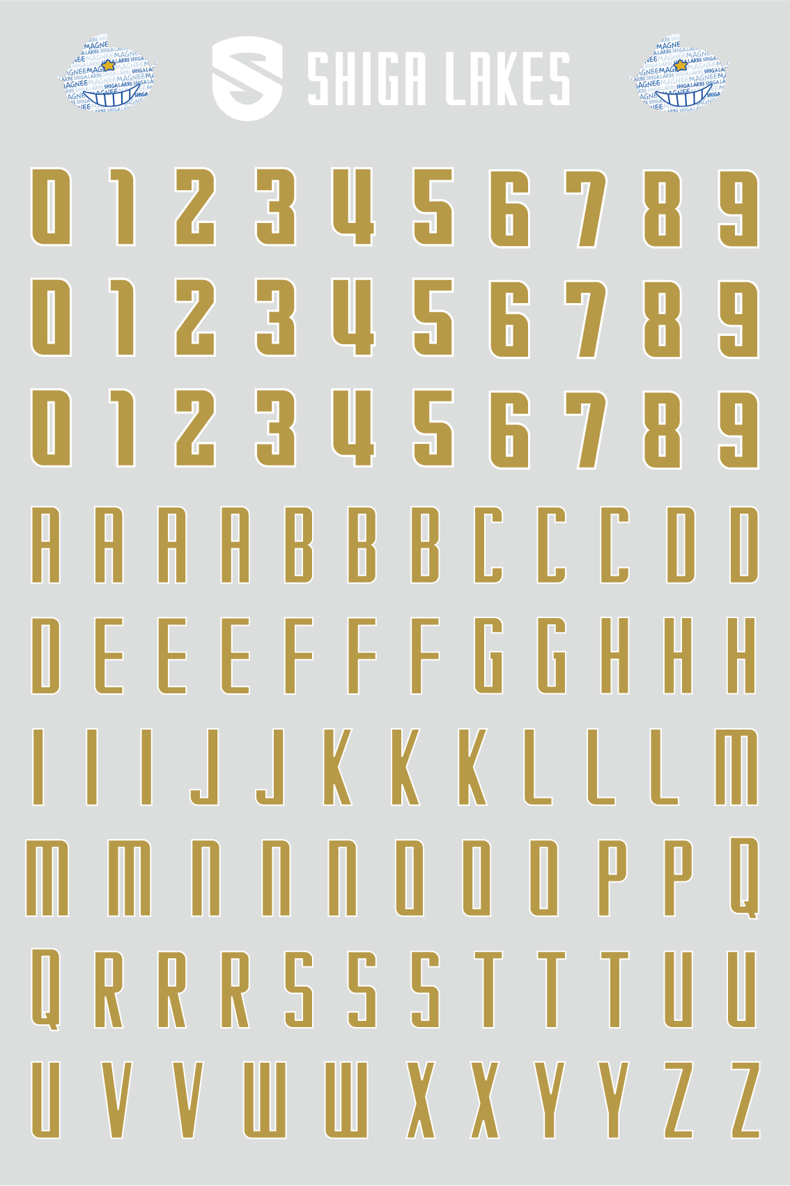 Player number & name font sticker