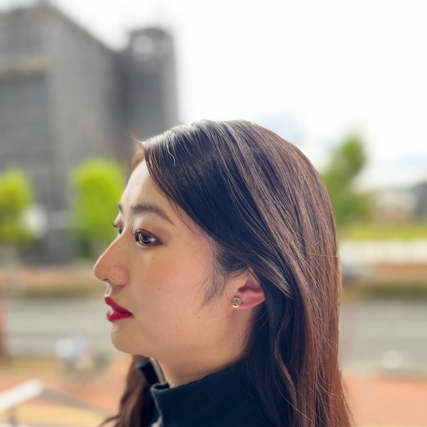 Emblem Non-pierced Earrings