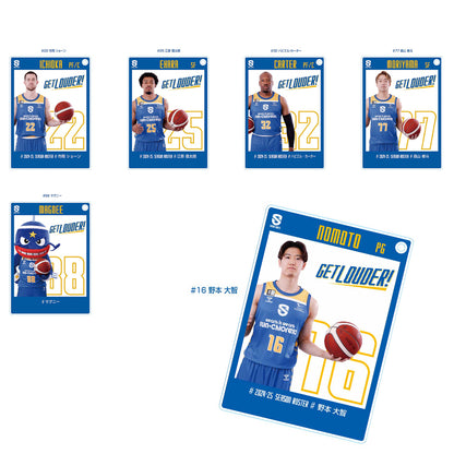 2024-25 Player Acrylic Trading Cards