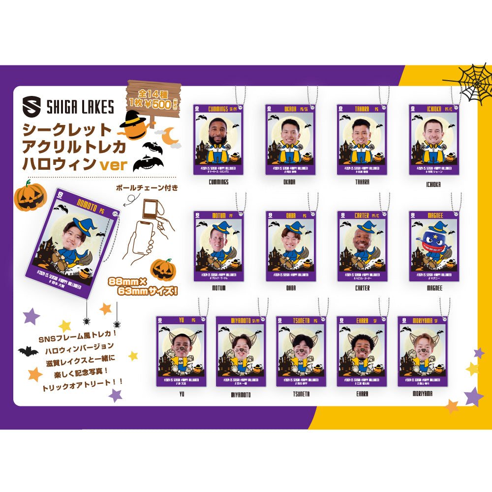 [Secret] Player Halloween Acrylic Trading Cards