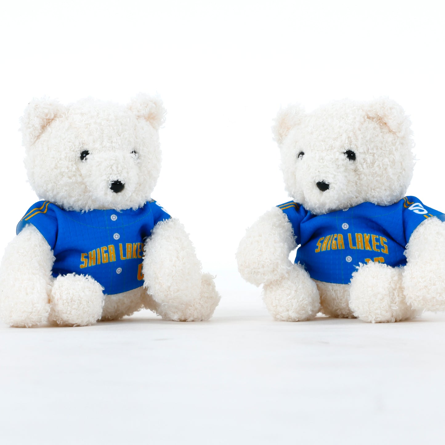 【預購商品】毛絨棒球服玩偶熊