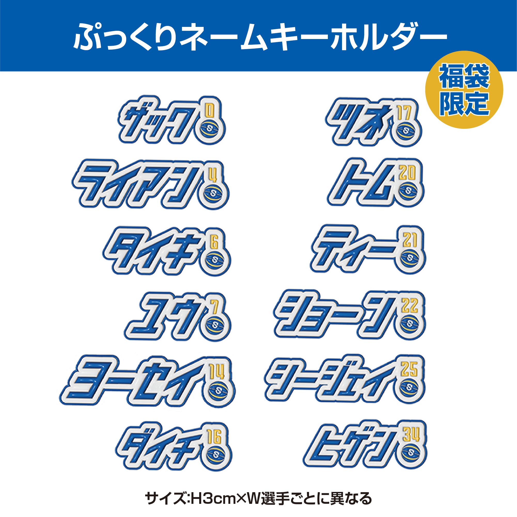 新春レイクス選手福袋 2026 – 滋賀レイクス公式ストア