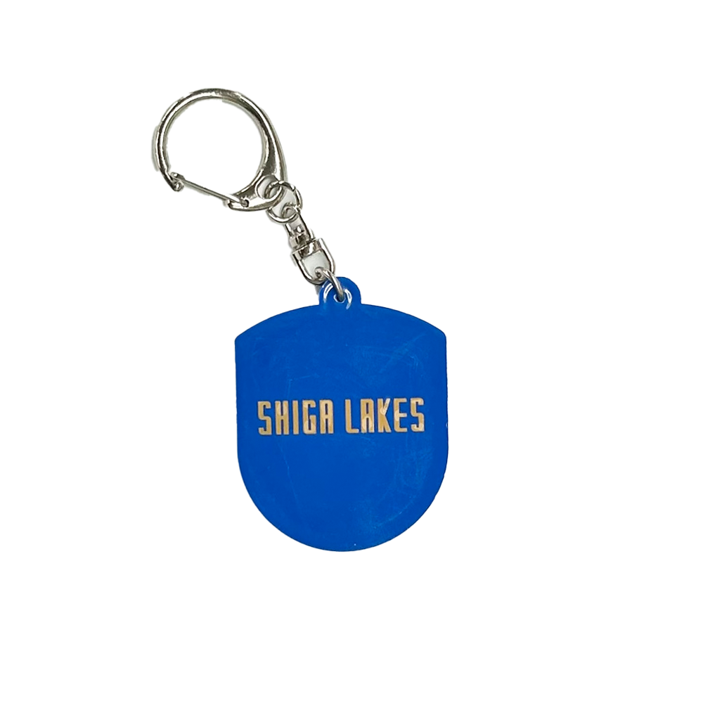 Emblem Rubber Keychain