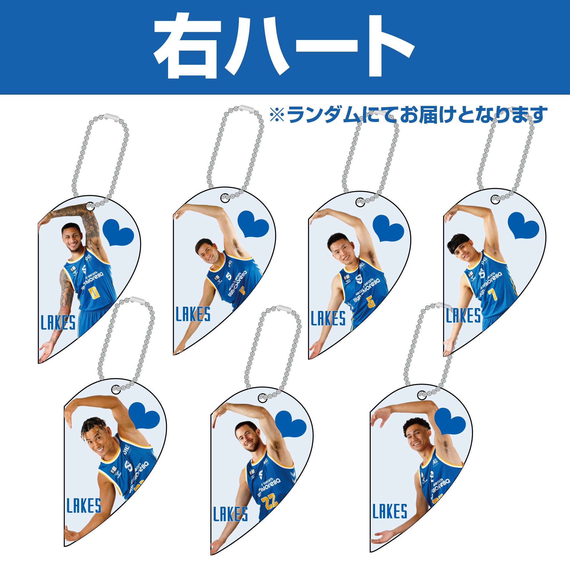 シークレット】ニコイチアクリルキーホルダー – 滋賀レイクス公式ストア